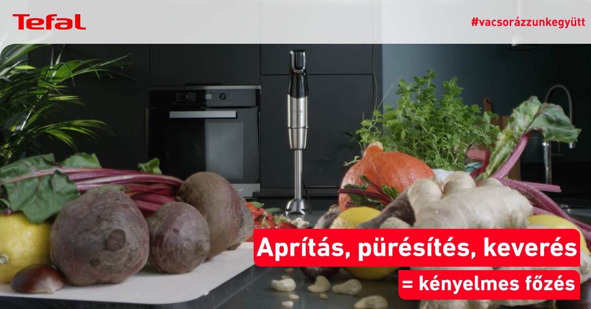 Bemutatkozik a a Tefal Infiny Force Pro 5in1 botmixer