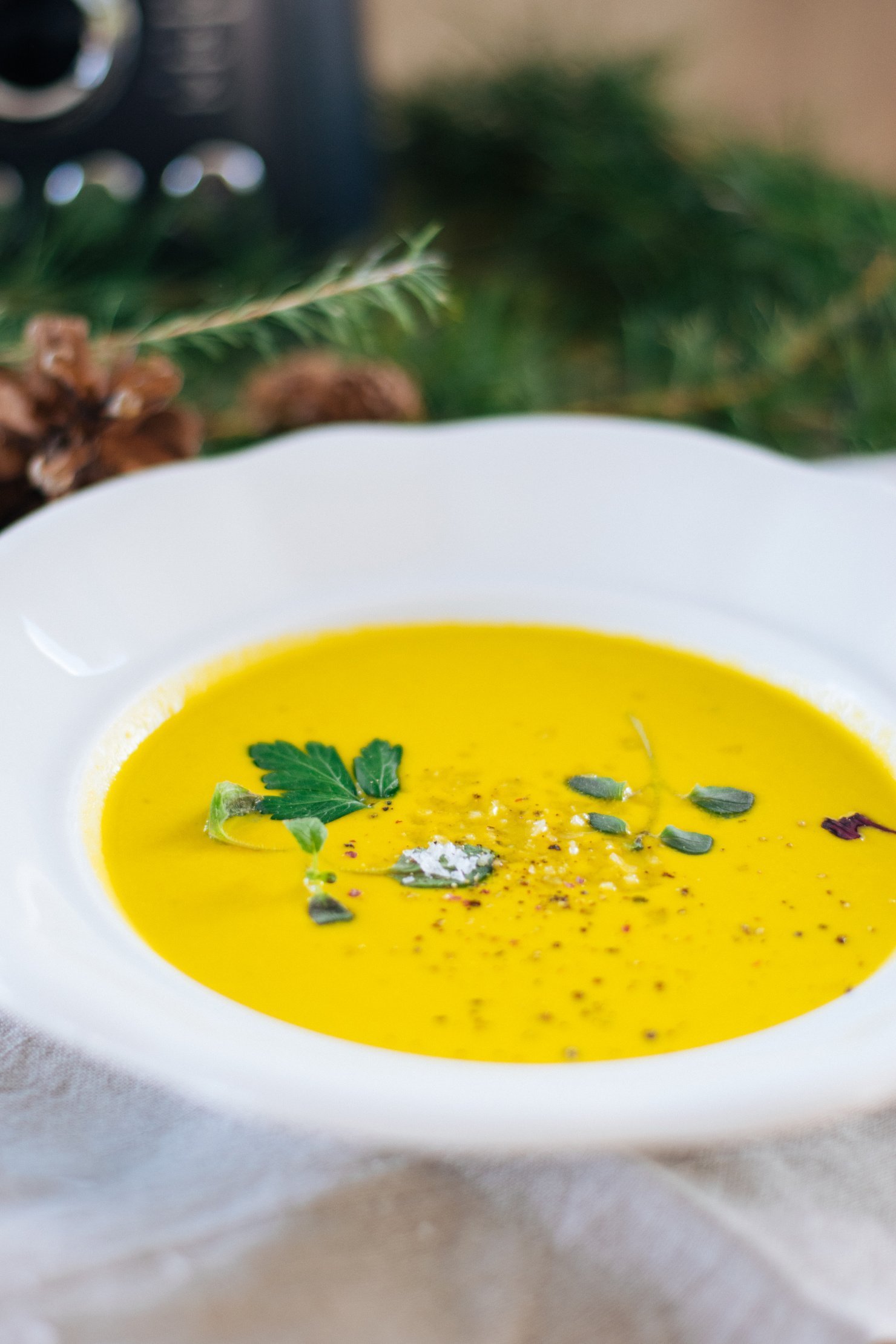 Krémová rybí polévka – recept od šéfkuchaře Ondřeje Slaniny v mixéru Tefal Ultrablend Cook